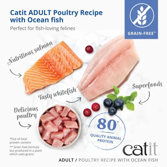 Catit Recipies Dry Adult Fish 400g - Bild 2