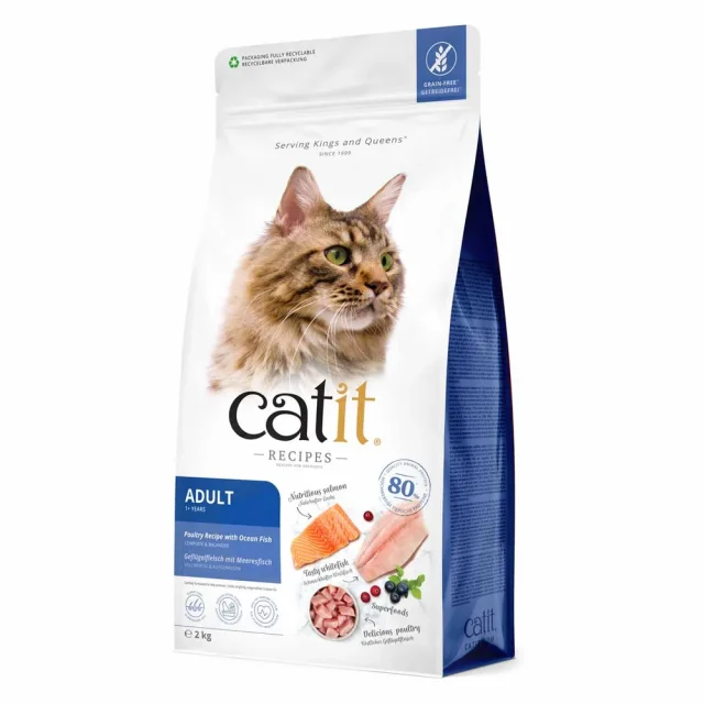 Catit Recipies Dry Adult Fish 2kg