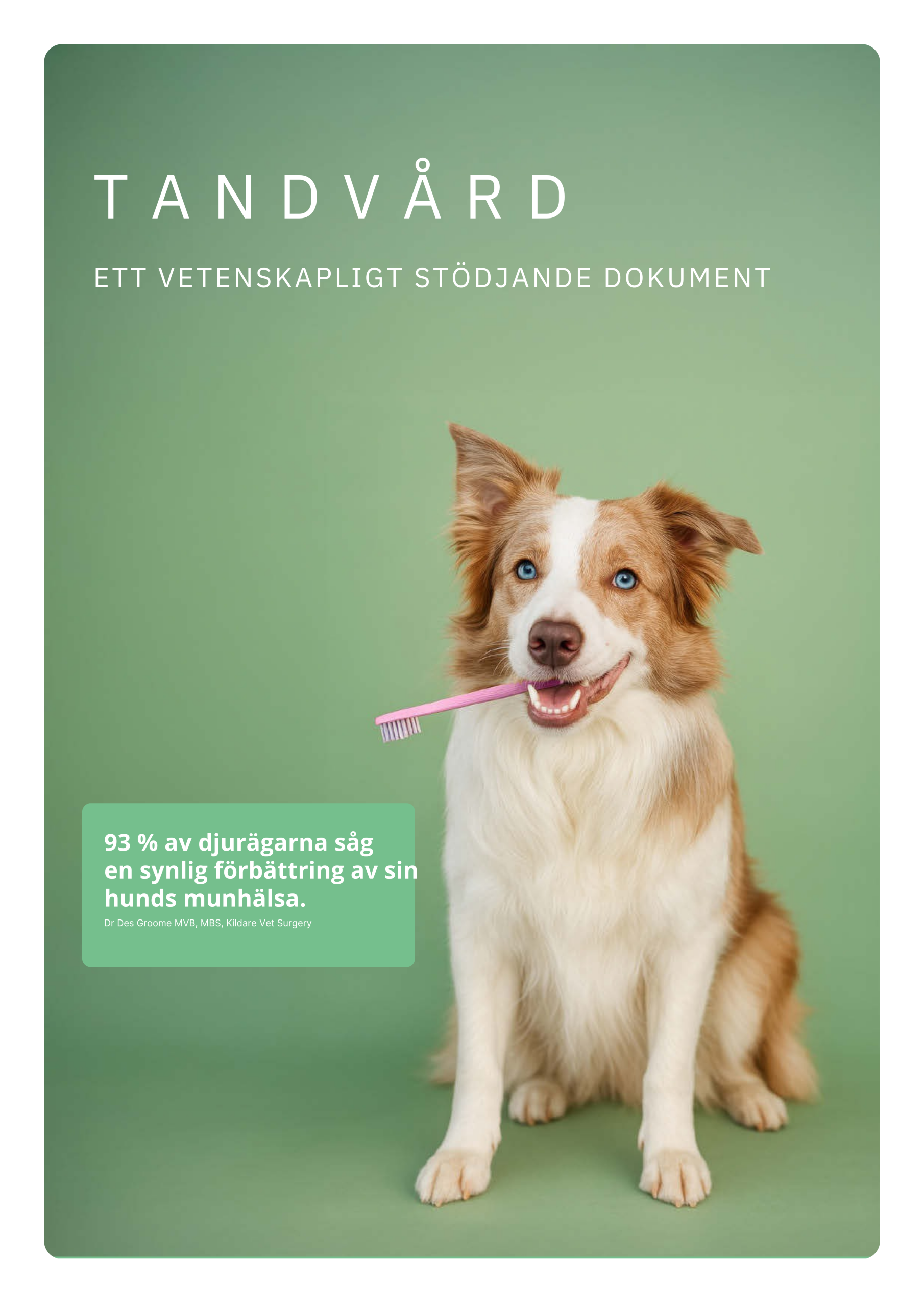 Askebites Tandvård Hypoallergenisk 10kg - Bild 2