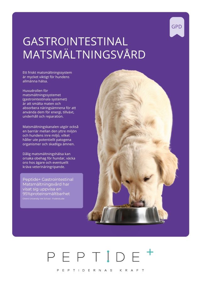 Askebites Gastrointestinal Hydrolyserat 10kg - Bild 2