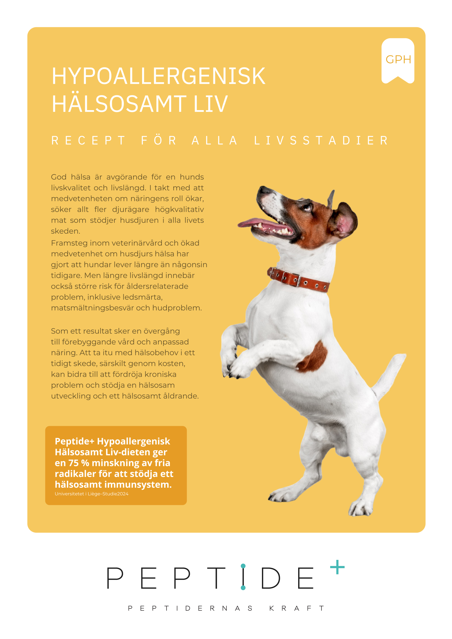 Askebites Hypoallergenisk Hälsosamt Liv 10kg - Bild 2