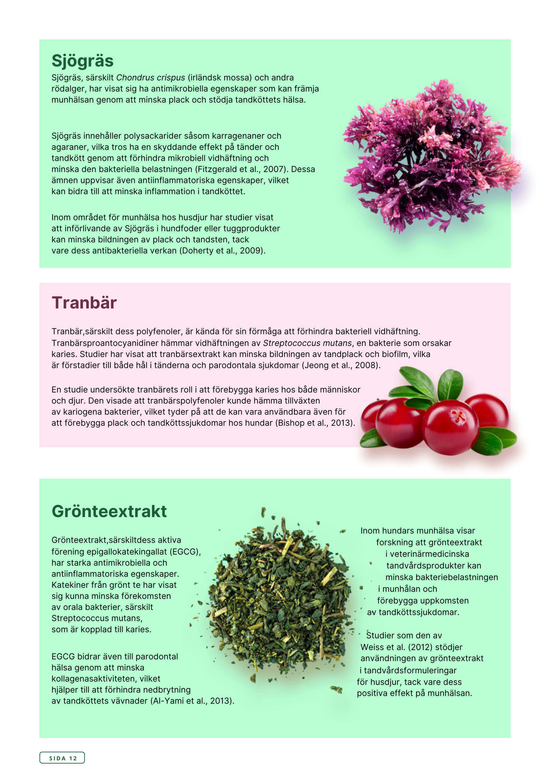 Askebites Tandvård Hypoallergenisk 10kg - Bild 13