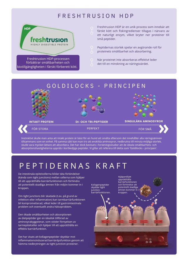 Askebites Gastrointestinal Hydrolyserat 10kg - Bild 3