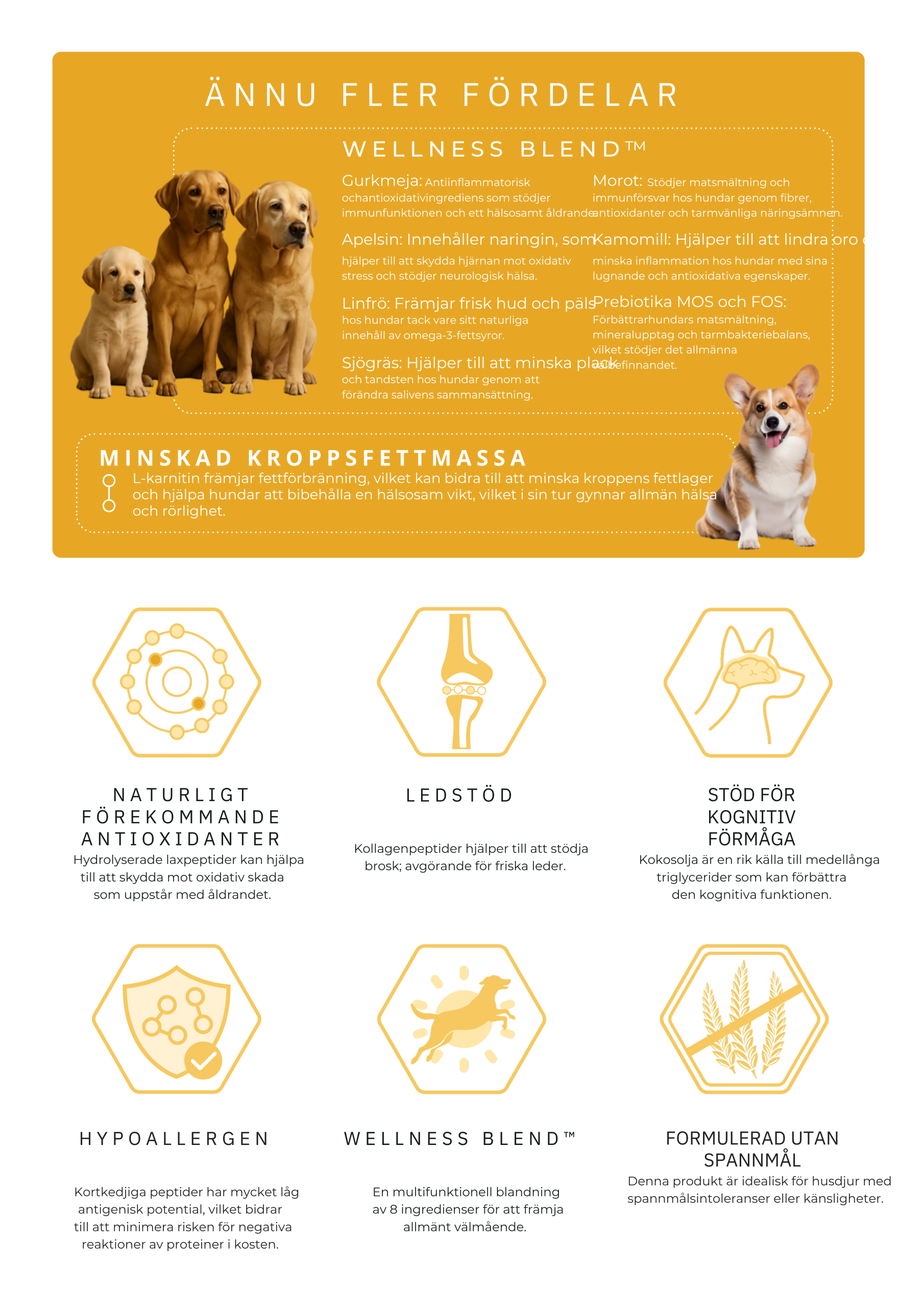 Askebites Hypoallergenisk Hälsosamt Liv 10kg - Bild 4