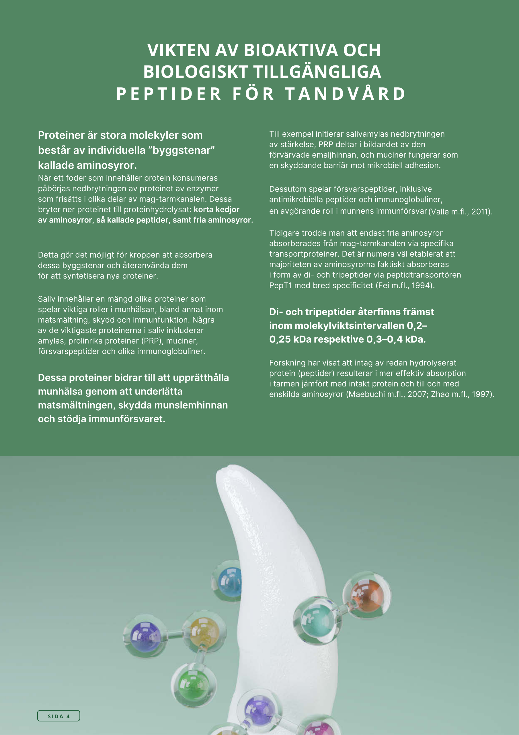 Askebites Tandvård Hypoallergenisk 10kg - Bild 5