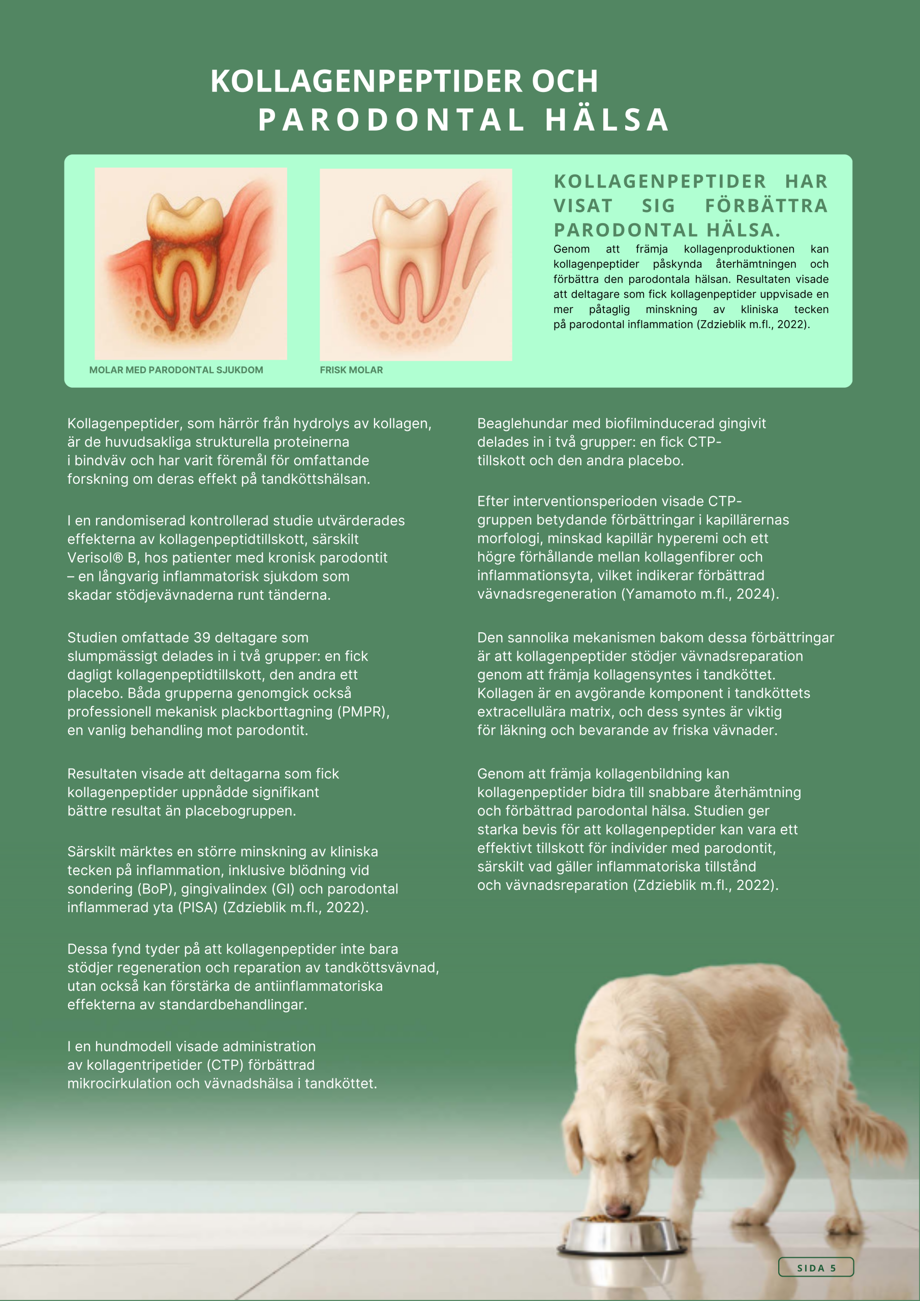 Askebites Tandvård Hypoallergenisk 10kg - Bild 6