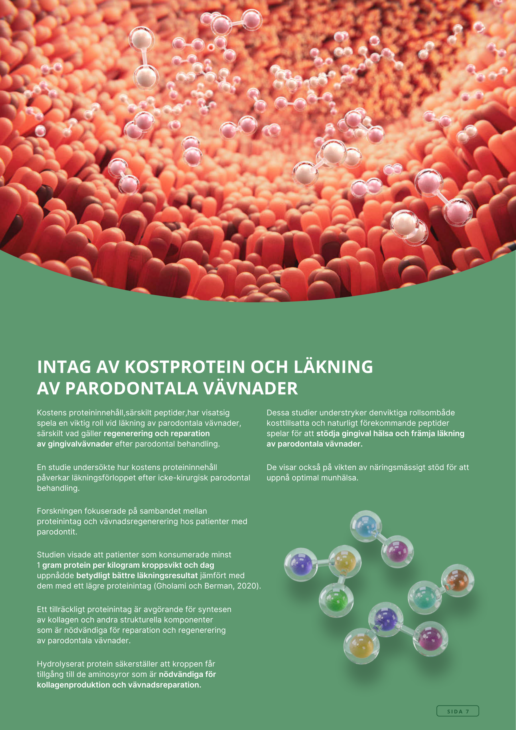 Askebites Tandvård Hypoallergenisk 10kg - Bild 8