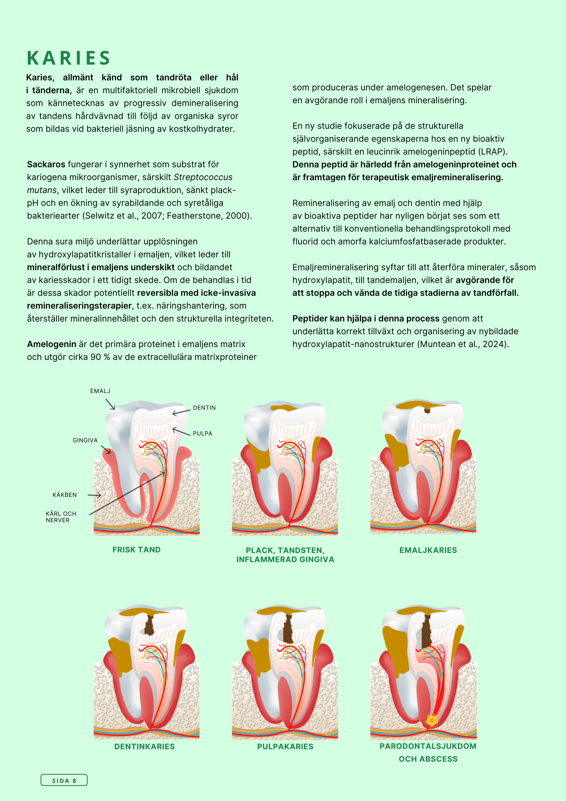 Askebites Tandvård Hypoallergenisk 10kg - Bild 9