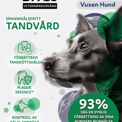Askebites Tandvård Hypoallergenisk 10kg