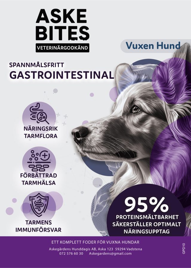 Askebites Gastrointestinal Hydrolyserat 10kg