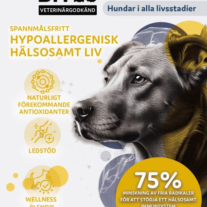 Askebites Hypoallergenisk Hälsosamt Liv 10kg