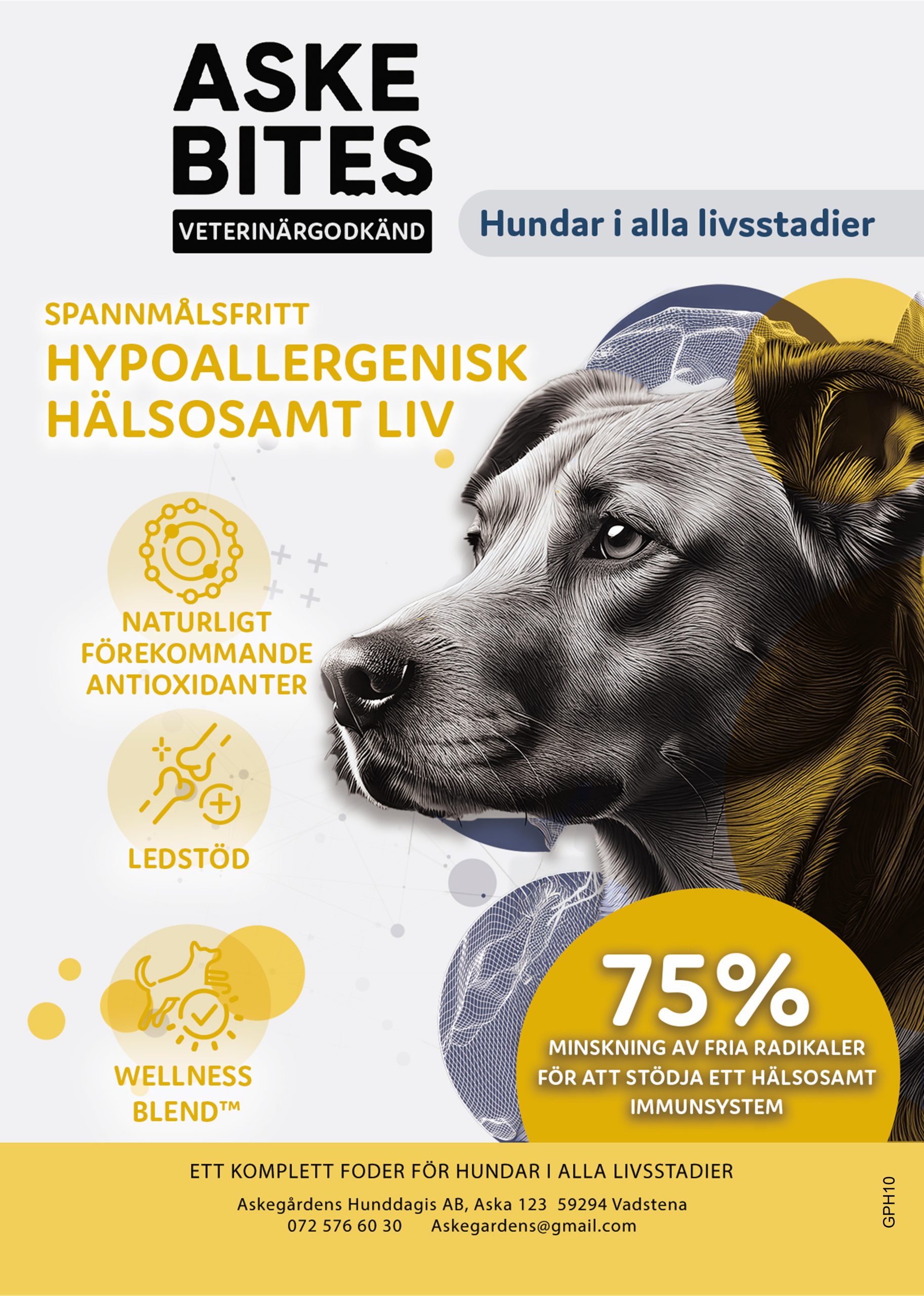Askebites Hypoallergenisk Hälsosamt Liv 10kg