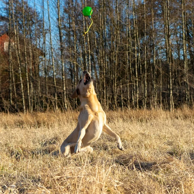 Starmark Funball Med Rep Grön M - Bild 3